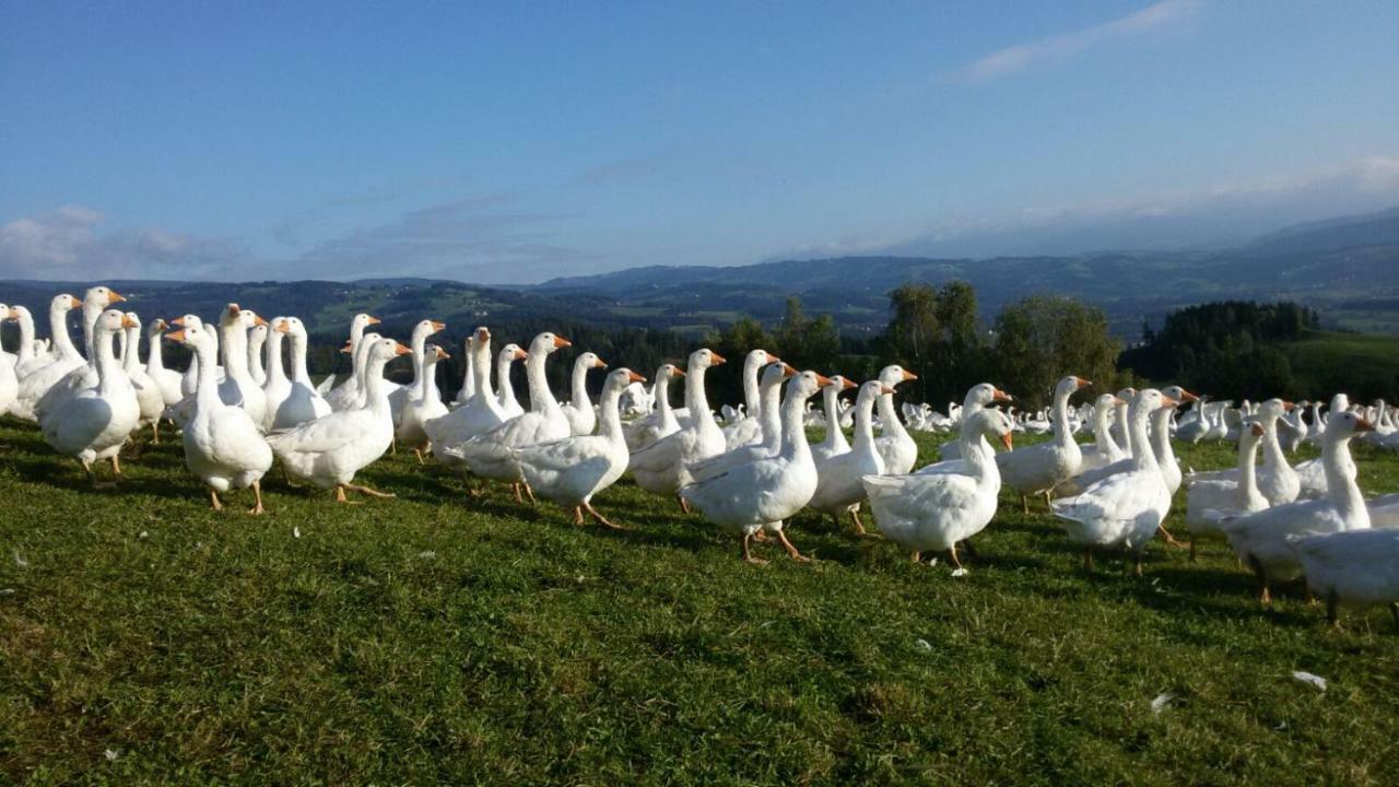 Sankt Andrä Lindlhof Fam. Taferner 빌라 외부 사진